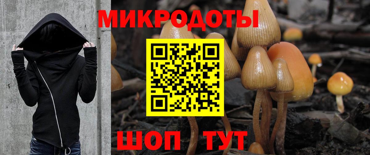 Псилоцибиновые грибы ЛСД  Вход с VPN  Топки  Галлюциногенные грибы MAGIC MUSHROOMS 