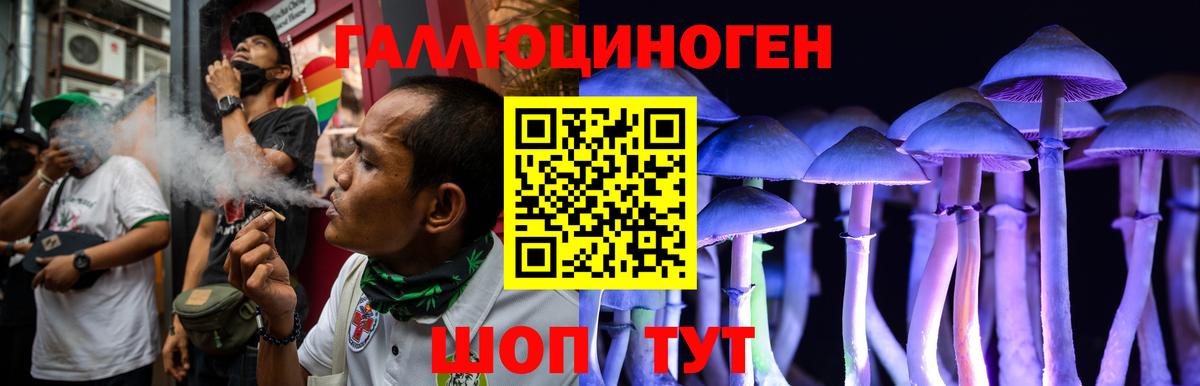 Галлюциногенные грибы Psilocybine cubensis Топки